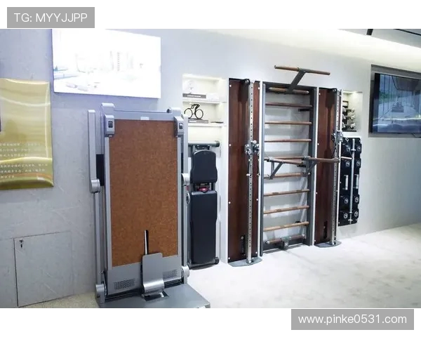 高端健身器材批发市场现状及优质供应商 高端健身器材批发市场现状及优质供应商