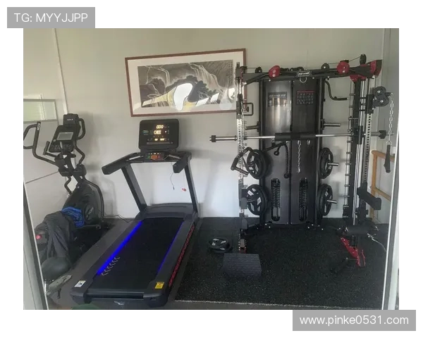 免维护健身器材推荐及使用寿命解析 免维护健身器材推荐及使用寿命解析