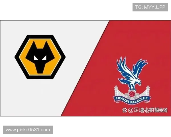 英超狼队球队介绍及联赛表现总结