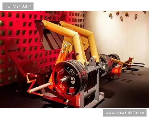 风雨型户外健身设备材料创新与耐久性突破