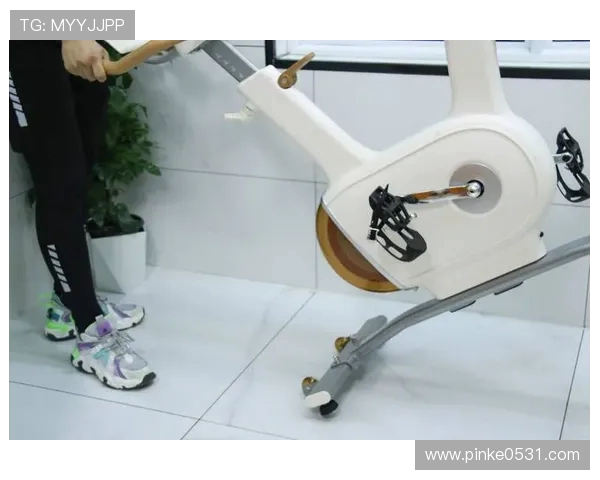 高效燃脂健身器材推荐哪些器械助力快速减肥