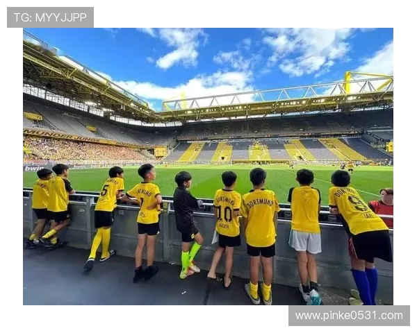 德甲球队的未来规划：青训与国际化发展