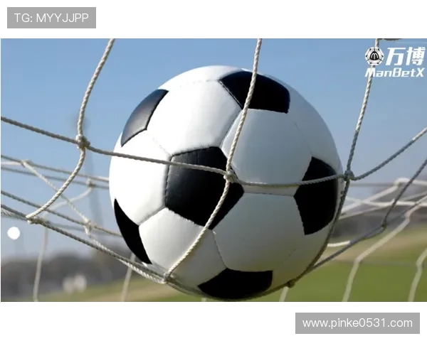 NFC世界杯足球有什么用及其实际应用价值全面深入探讨与功能优势分析